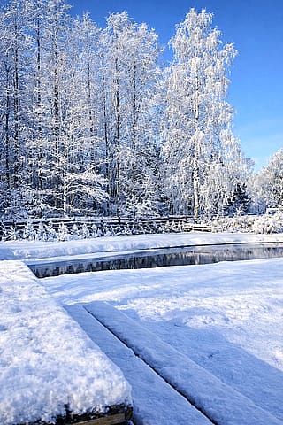 Winter in Latvia - I transformed the seasons from a pre-existing photo of nature.'