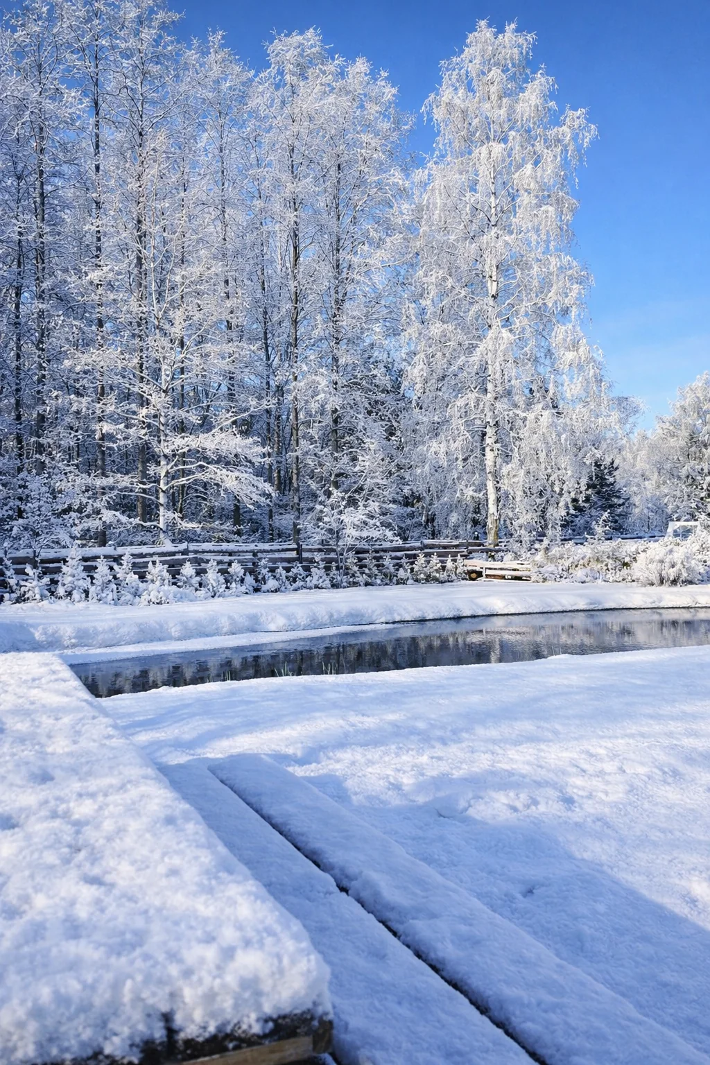 Winter in Latvia - I transformed the seasons from a pre-existing photo of nature. picture 1 of 1