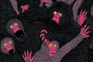 They have seen the end on the endless scroll... now what?'