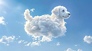 Dog days of the stratosphere'