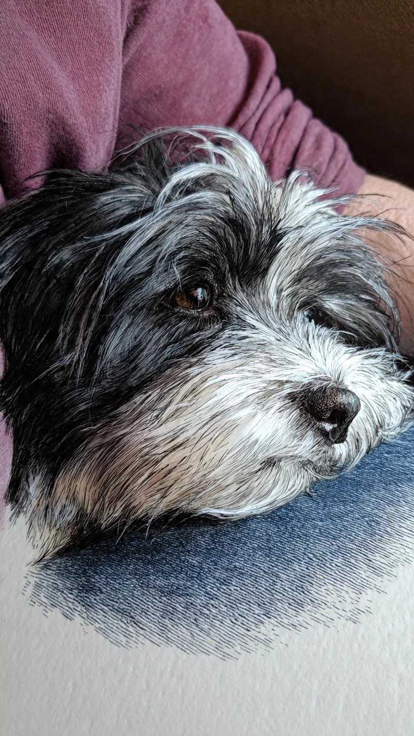 Contentment picture 1 of 1