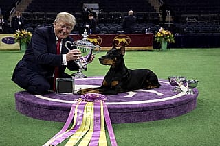 He wants best in show, guess we gotta give it to him.'