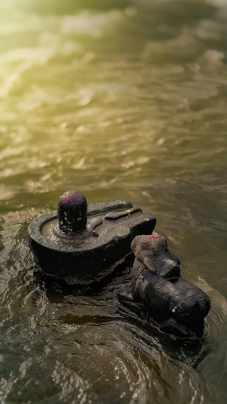 Tried creating an AI image and video of this picture 1 of 1