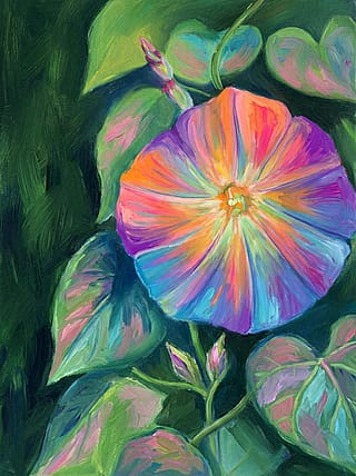 Morning glory after picture'