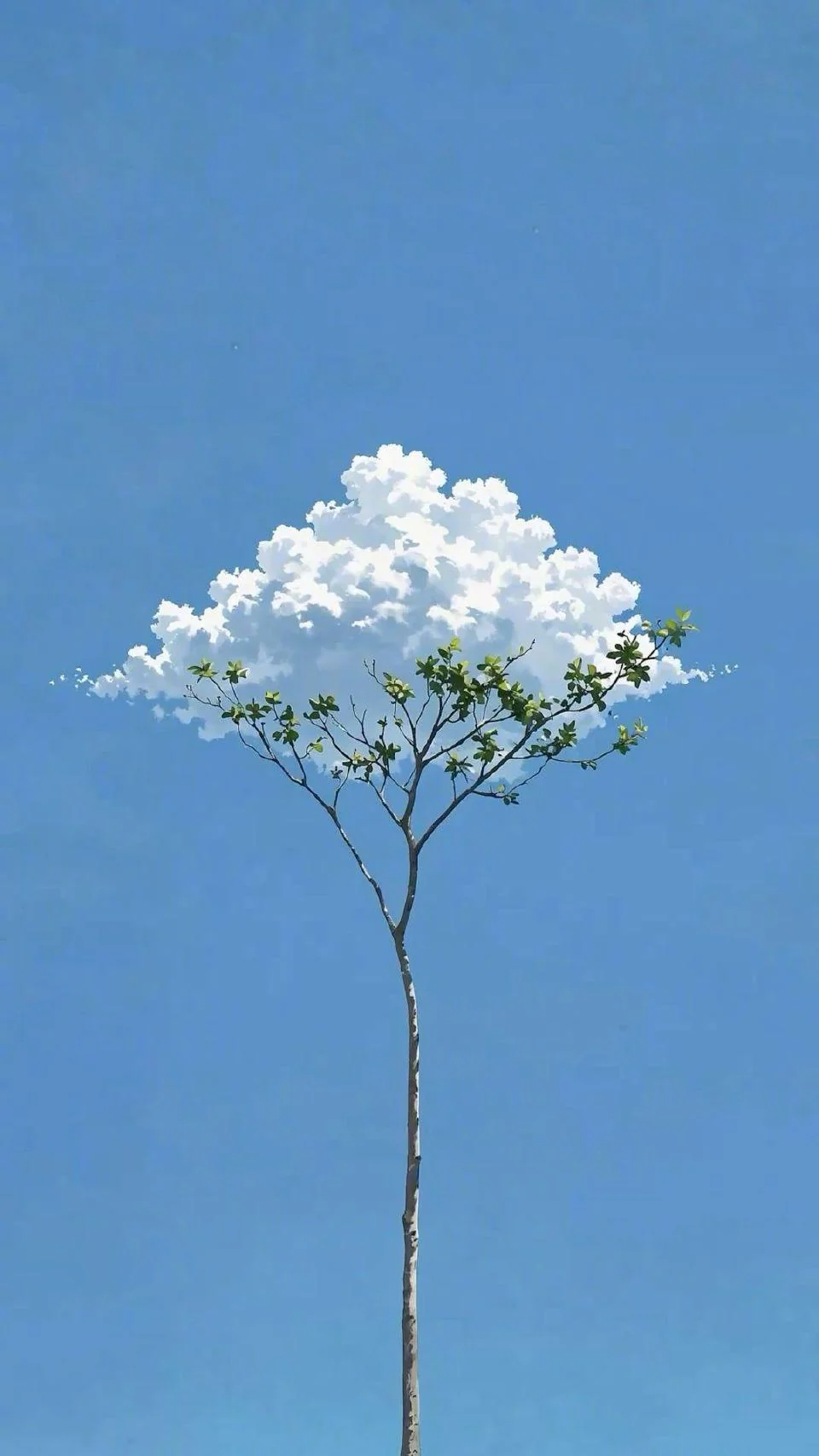 Cloud picture 1 of 1