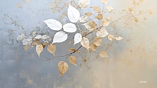 Of the Morning, John Emmett, 2026'