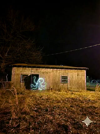 My spirit animal out exploring the property for a bit tonight.'