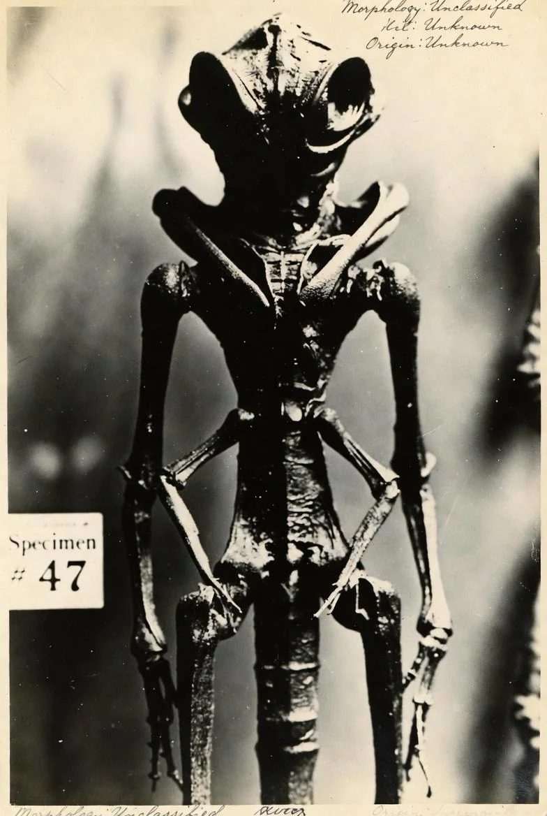 AI reimagined from old medical archives into something unsettling and otherworldly. picture 5 of 17