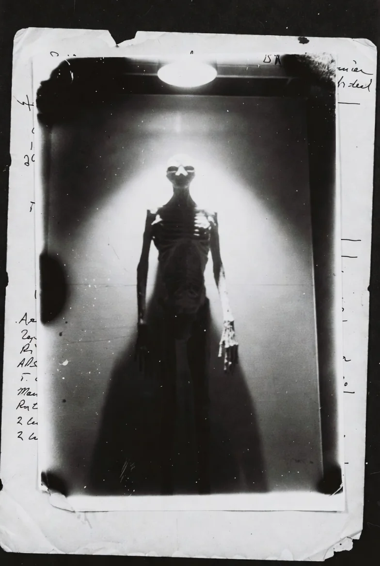 AI reimagined from old medical archives into something unsettling and otherworldly. picture 6 of 17