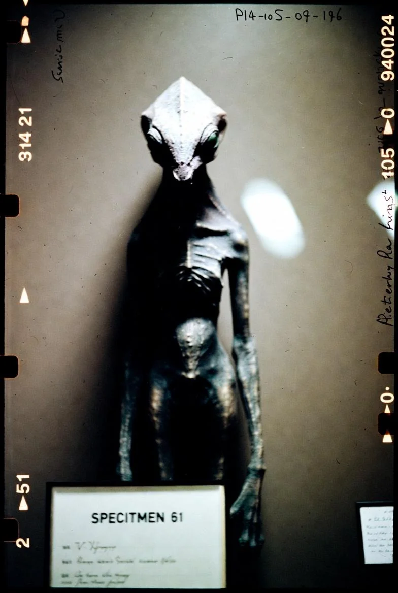 AI reimagined from old medical archives into something unsettling and otherworldly. picture 9 of 17