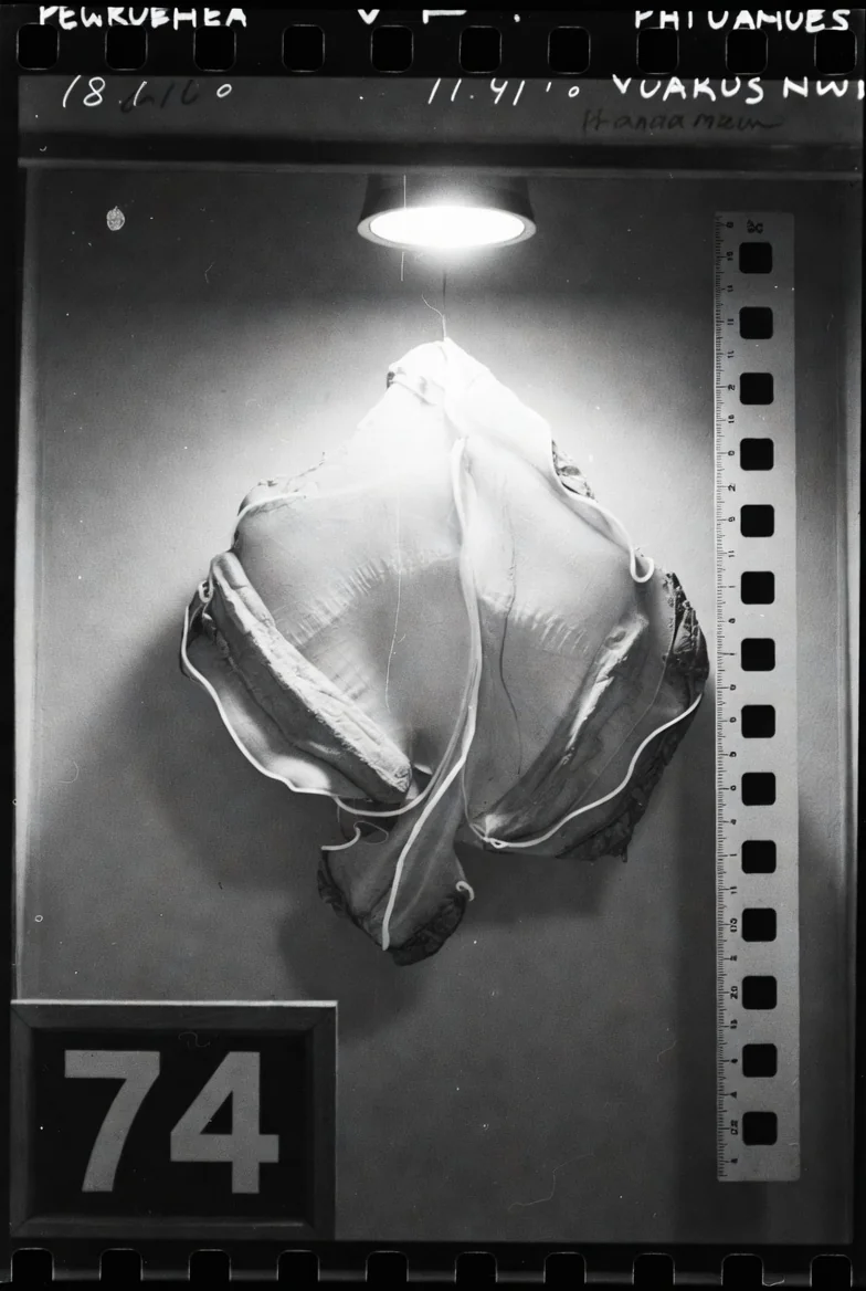 AI reimagined from old medical archives into something unsettling and otherworldly. picture 14 of 17