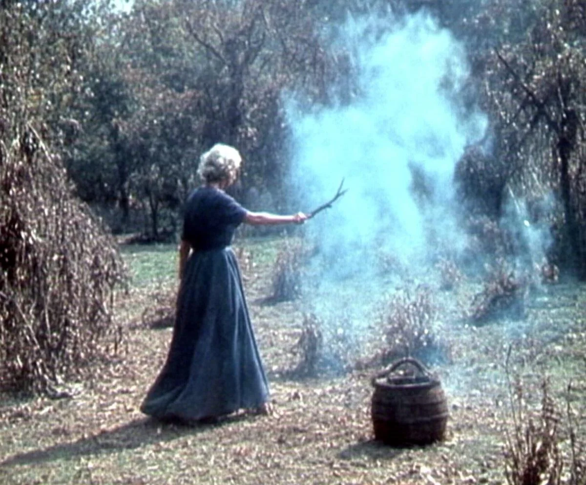 The witch picture 1 of 1