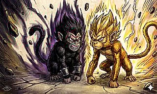 Luna Goku(black) and Lily Vegeta(gold)'