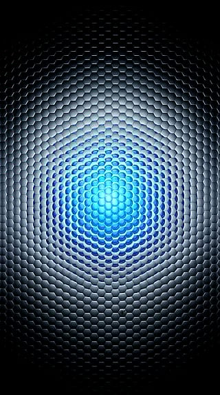 Entering the Hive Mind'