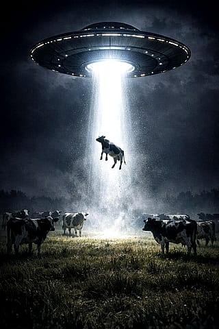 Friday the 13th action'