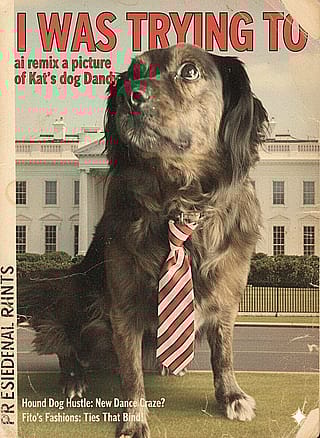 Remix(DogoftheWeek)'