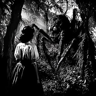 SHE TURNED HER HUSBAND INTO A GIANT MUTANT SPIDER!'