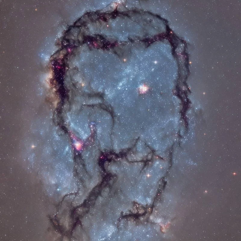 "BOB" Dobbs is everywhere picture 3 of 5