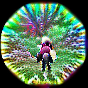 Adversarial Creativity picture 7 of 19