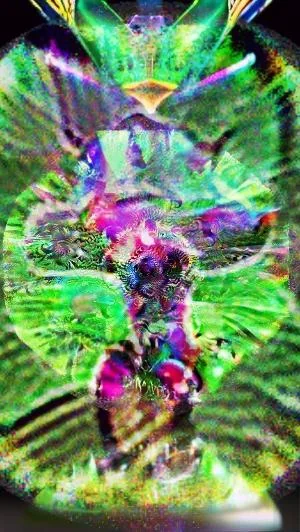 Adversarial Creativity picture 15 of 19