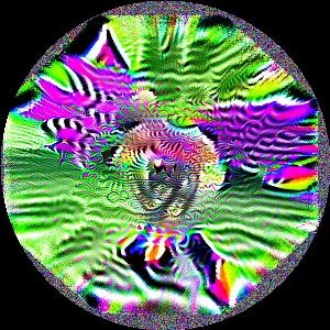 Adversarial Creativity picture 19 of 19