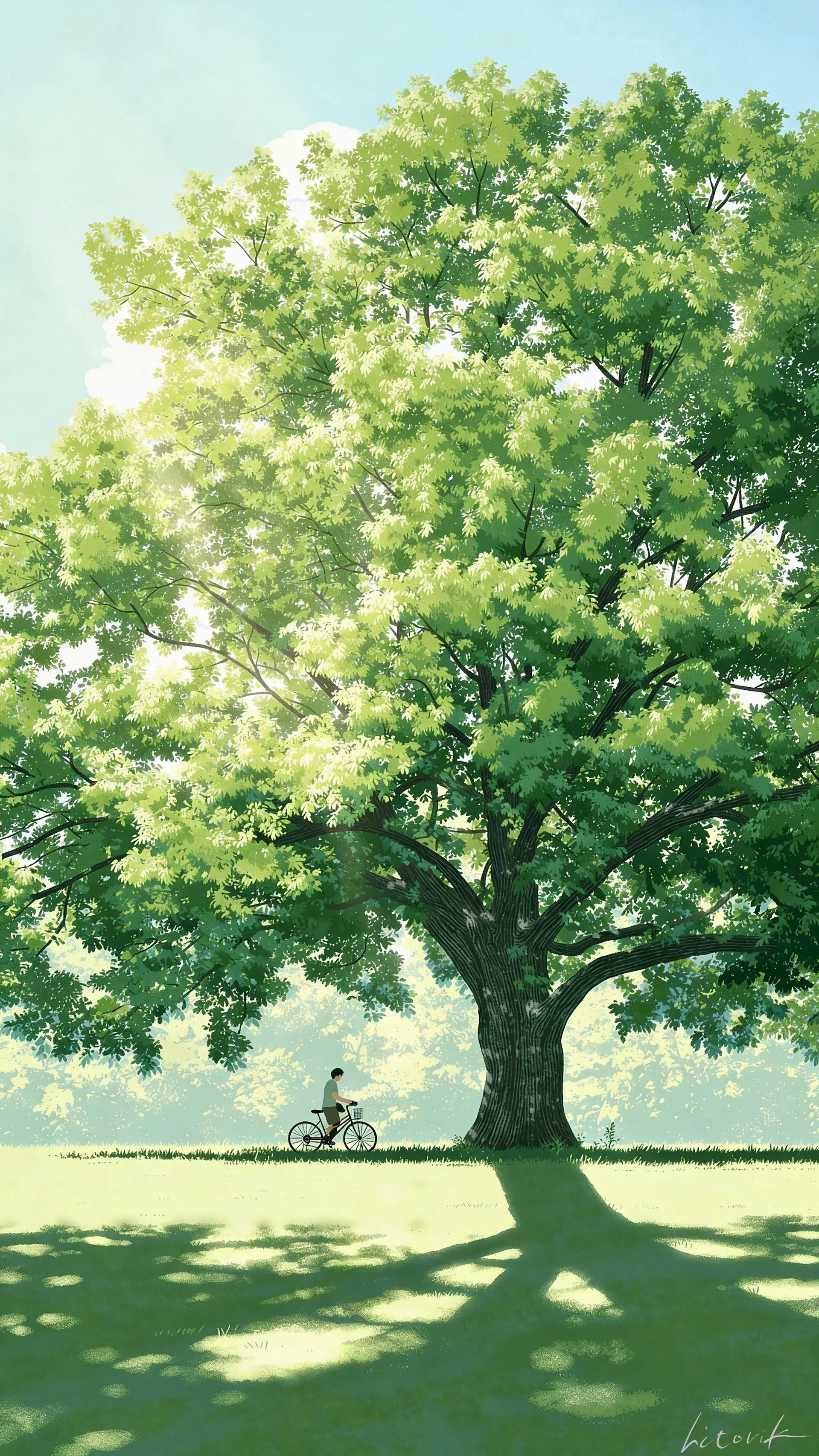 Cycling in the Dappled Sunlight / Phone Wallpaper Archives picture 1 of 1