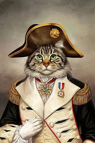 Napoleon Pawparte: Emperor of the Catnip Empire'