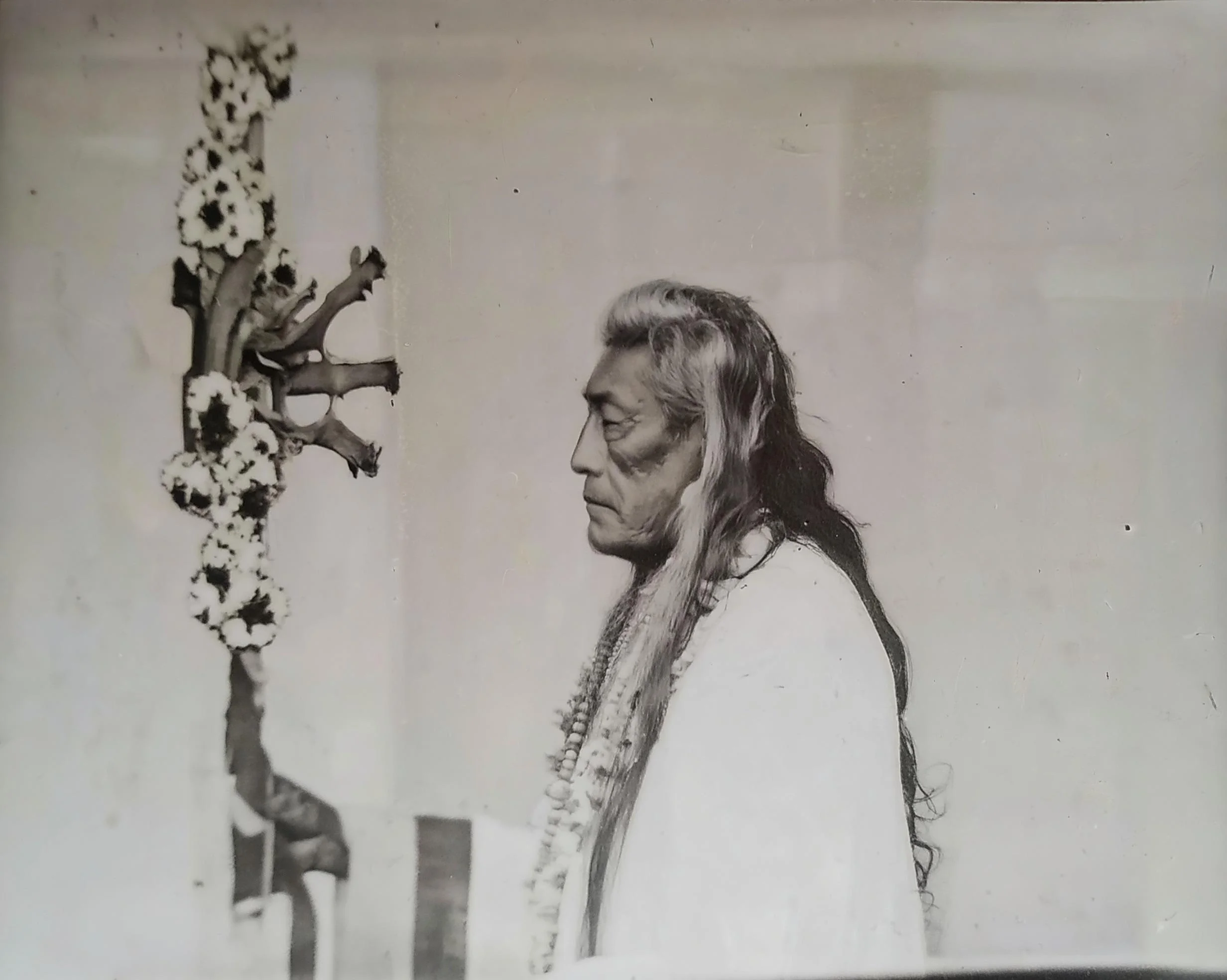 Chief -midjourney v8 picture 1 of 1