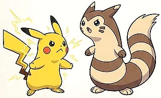 Chupi and Furret are having a bit of a disagreement over which one is the cutest'
