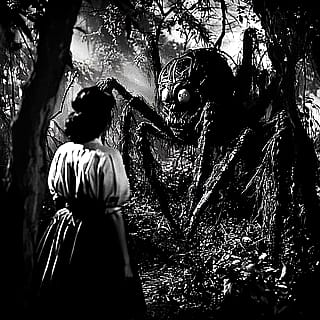 She changed her husband into a giant spider with a spell...'