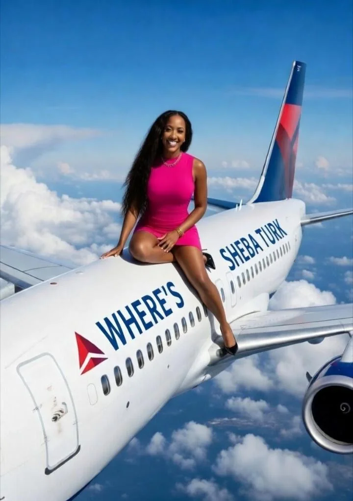 What if the planes were like Blimps? picture 1 of 1