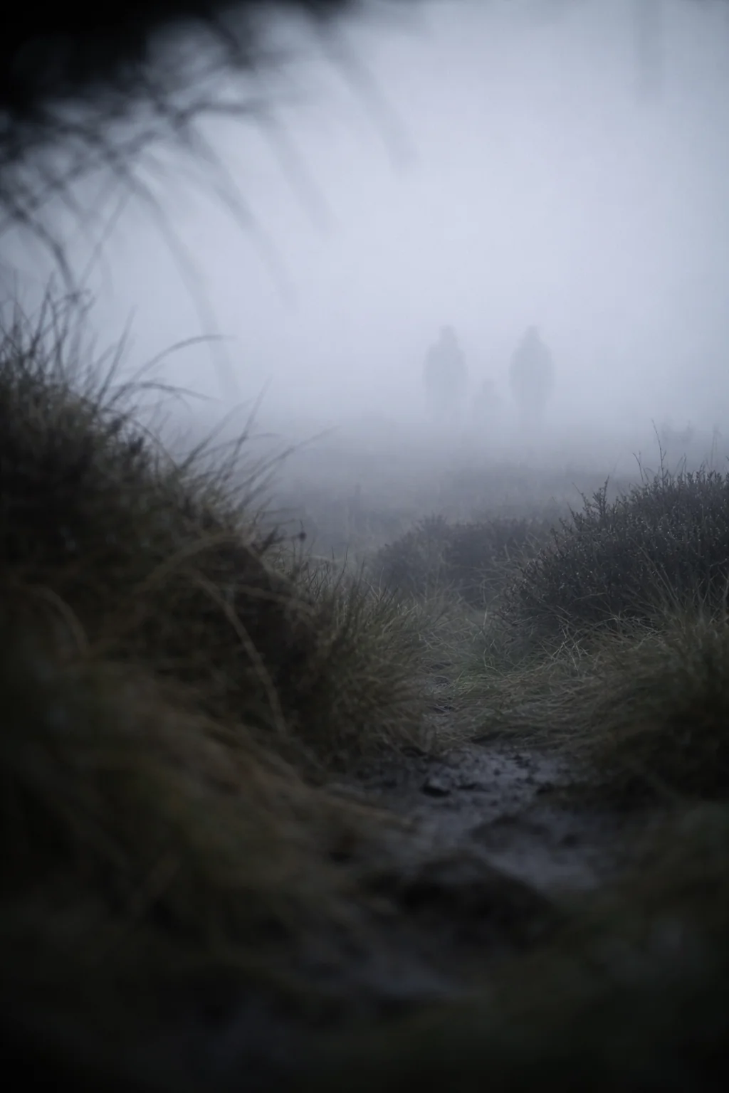 Keeping a low profile through time but things are getting scary, send help picture 5 of 12