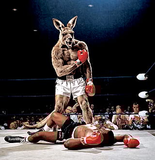 Meanwhile, in Australia…'