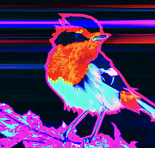 Synthwave art of a robin'