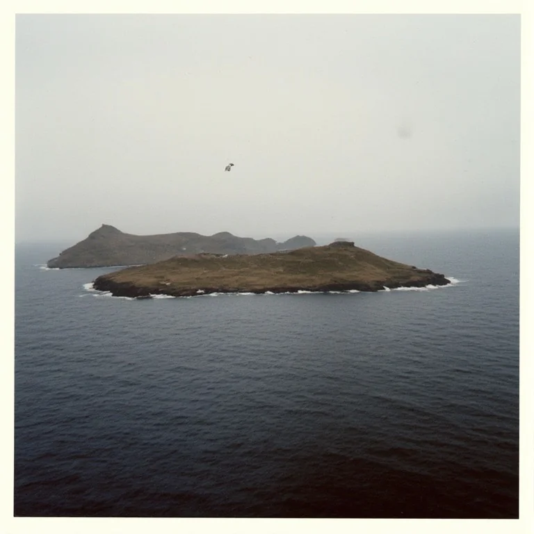 Artic Landscapes | Vintage Aesthetic Photographs picture 6 of 12