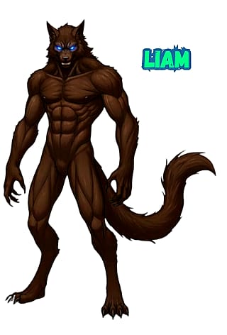 The Night Havoc--My Personal Project (Part 2)'