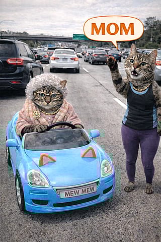 Grandma Cat is Naughty'