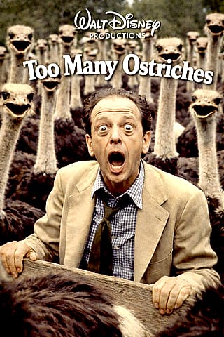 Don Knotts Stars in “Too Many Ostriches”'