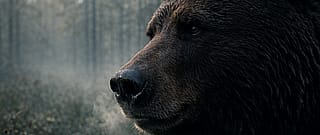 The last Neanderthal: Day one — Scene 9/50 (The Hunt)'