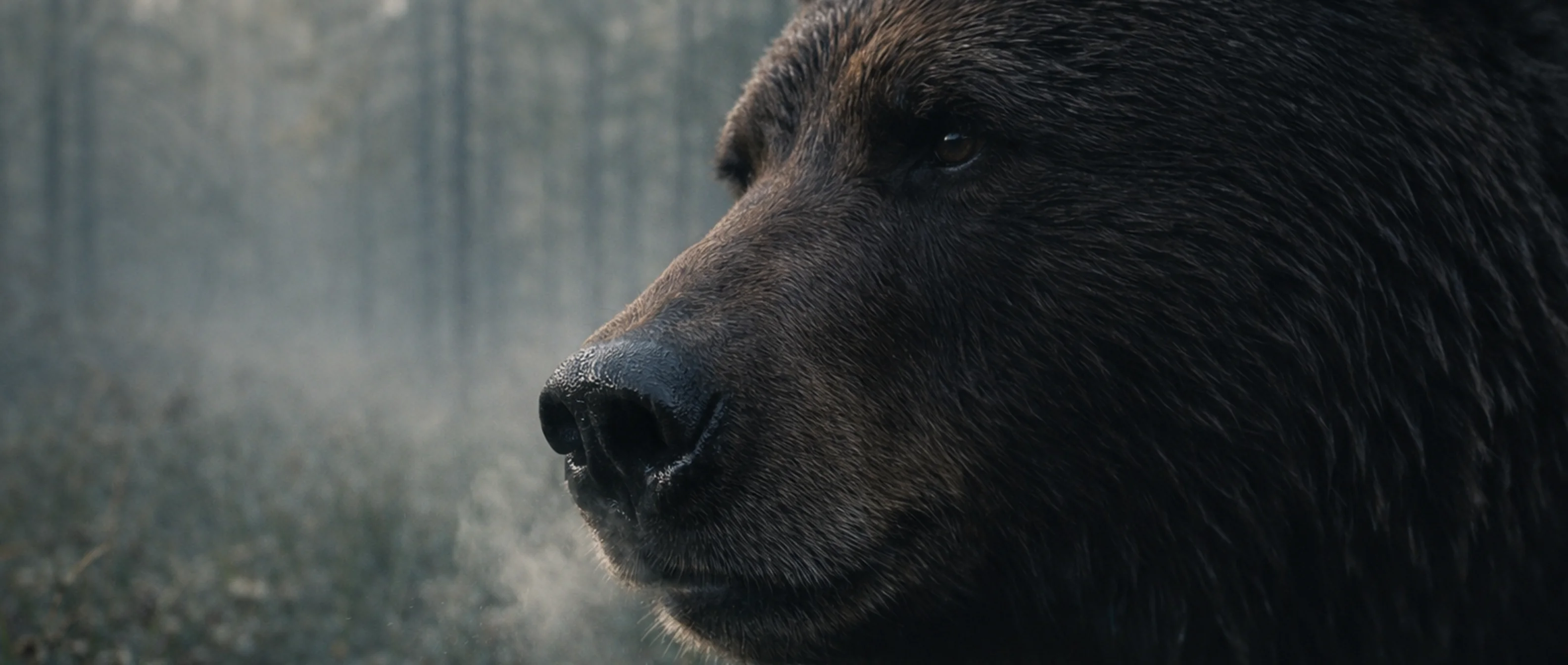 The last Neanderthal: Day one — Scene 9/50 (The Hunt) picture 1 of 1