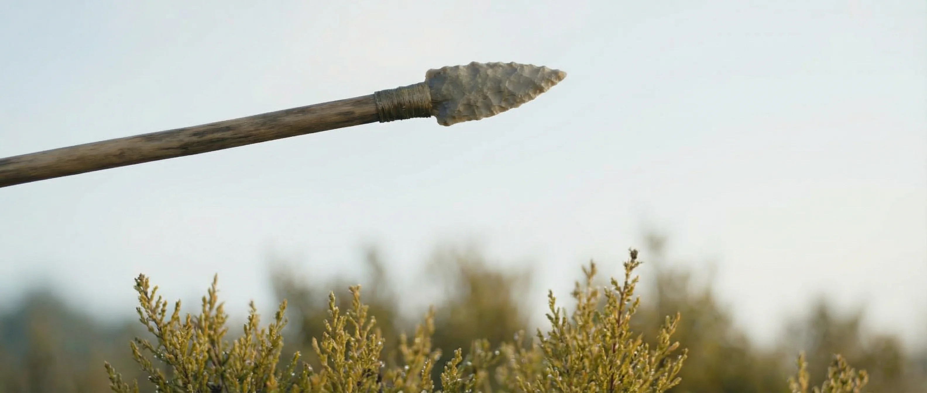 The last Neanderthal: Day one — Scene 10/50 (The Hunt) picture 1 of 3