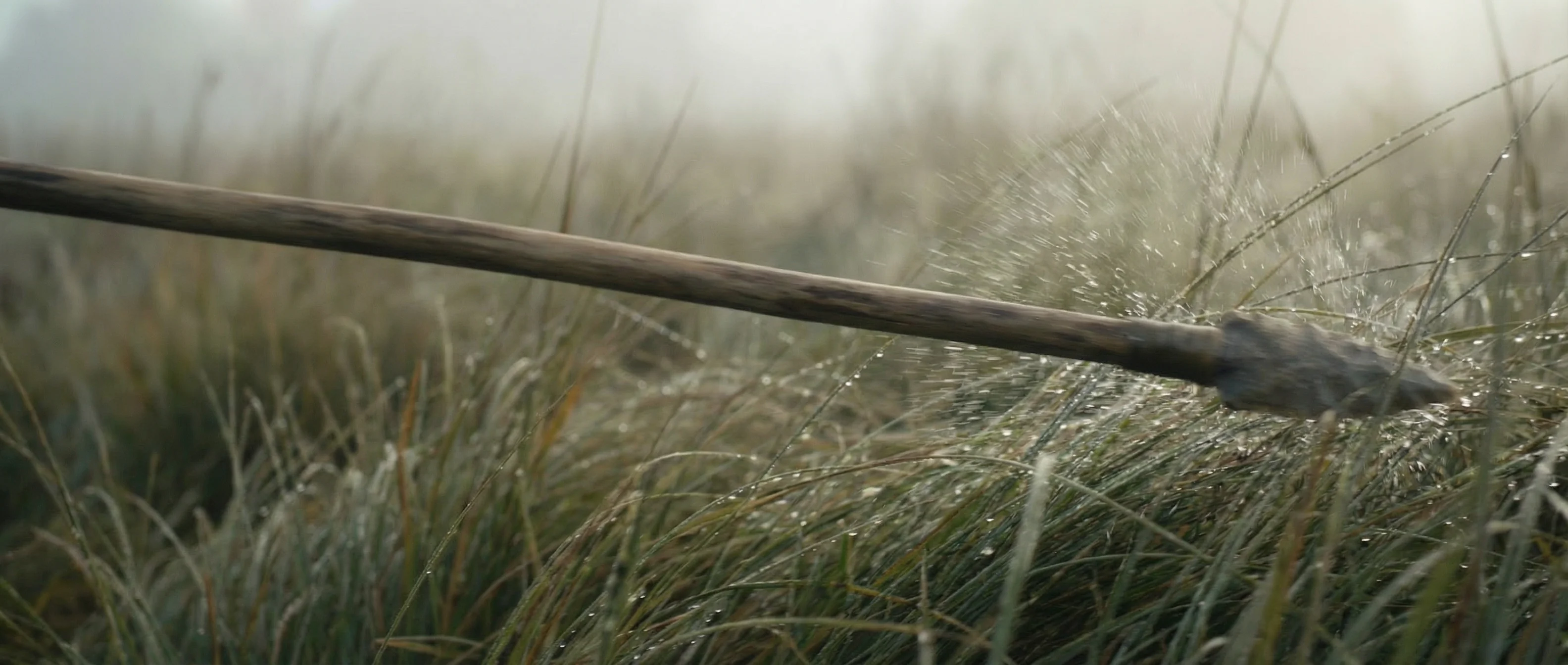 The last Neanderthal: Day one — Scene 10/50 (The Hunt) picture 2 of 3