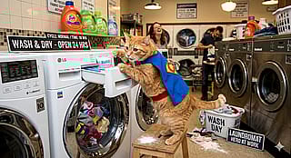 I asked Gemini to make a photo "more inappropriate"'