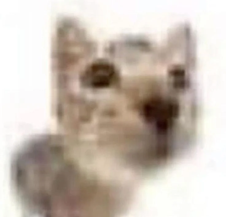 Cat meme upscale by AI picture 1 of 4