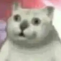 Cat meme upscale by AI picture 2 of 4