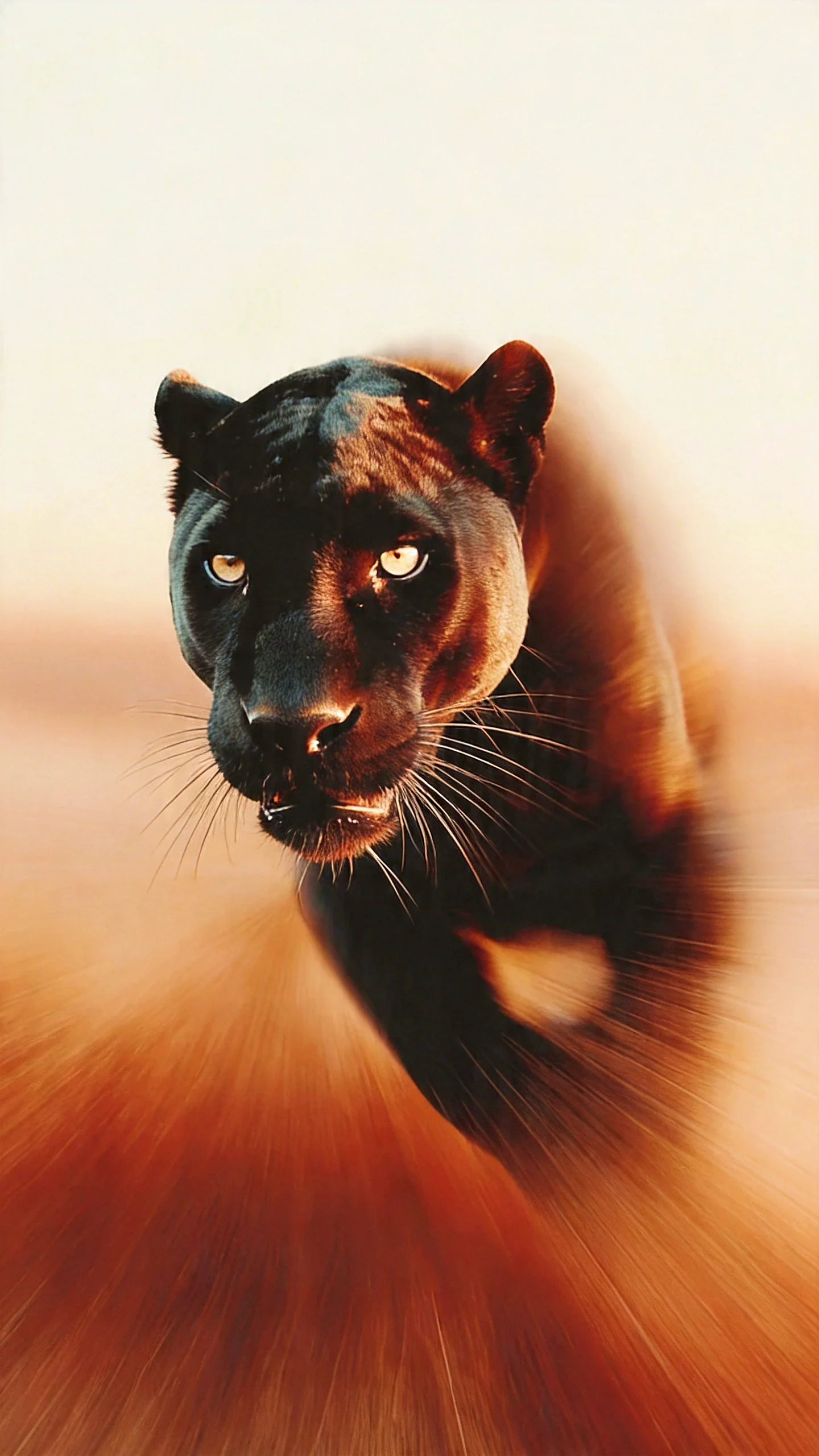 Darkness Doesn't Chase You➡️It Arrives picture 1 of 3