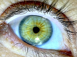 My eye in Ultraviolet'