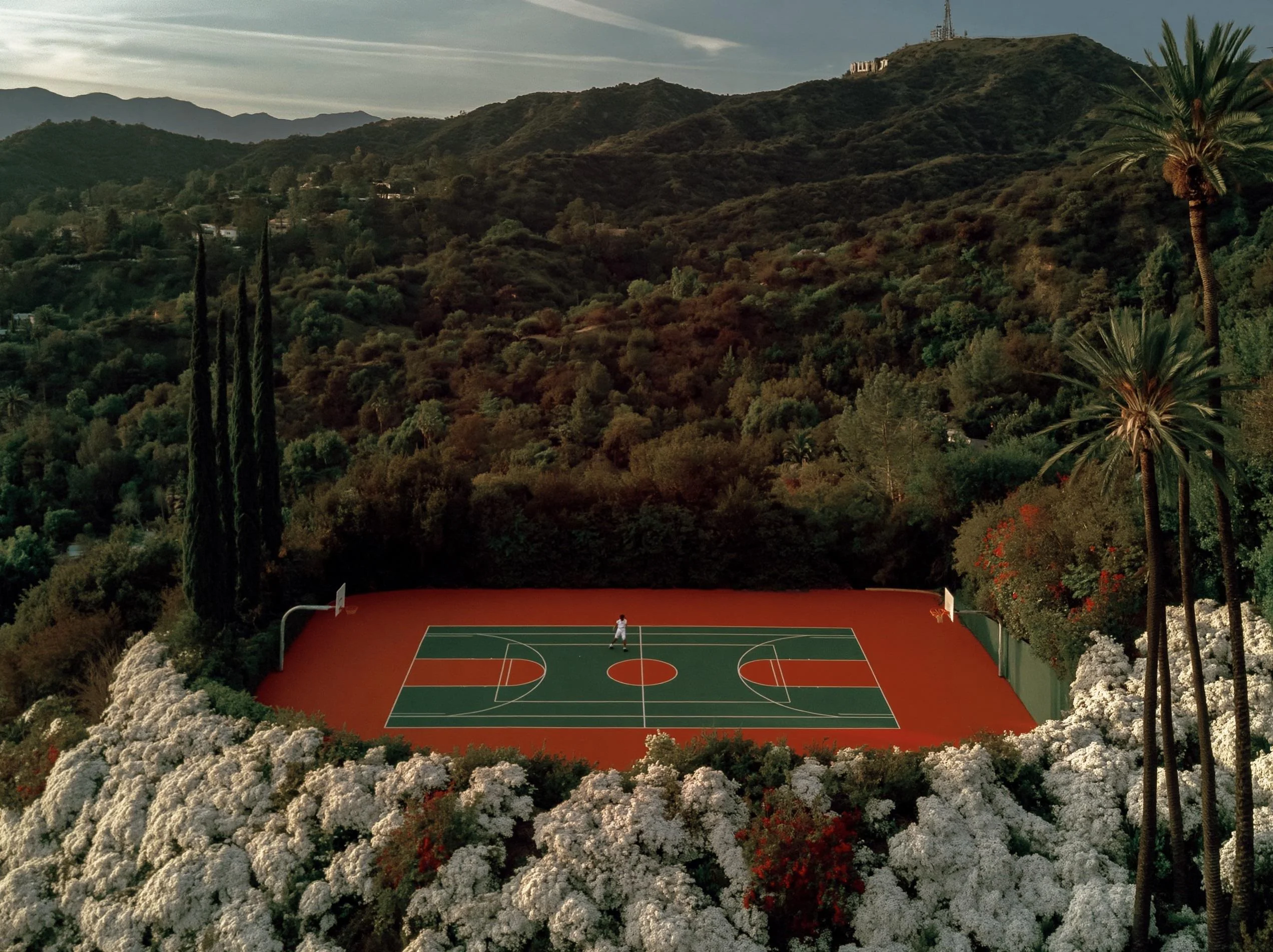 Summer Daze picture 1 of 4