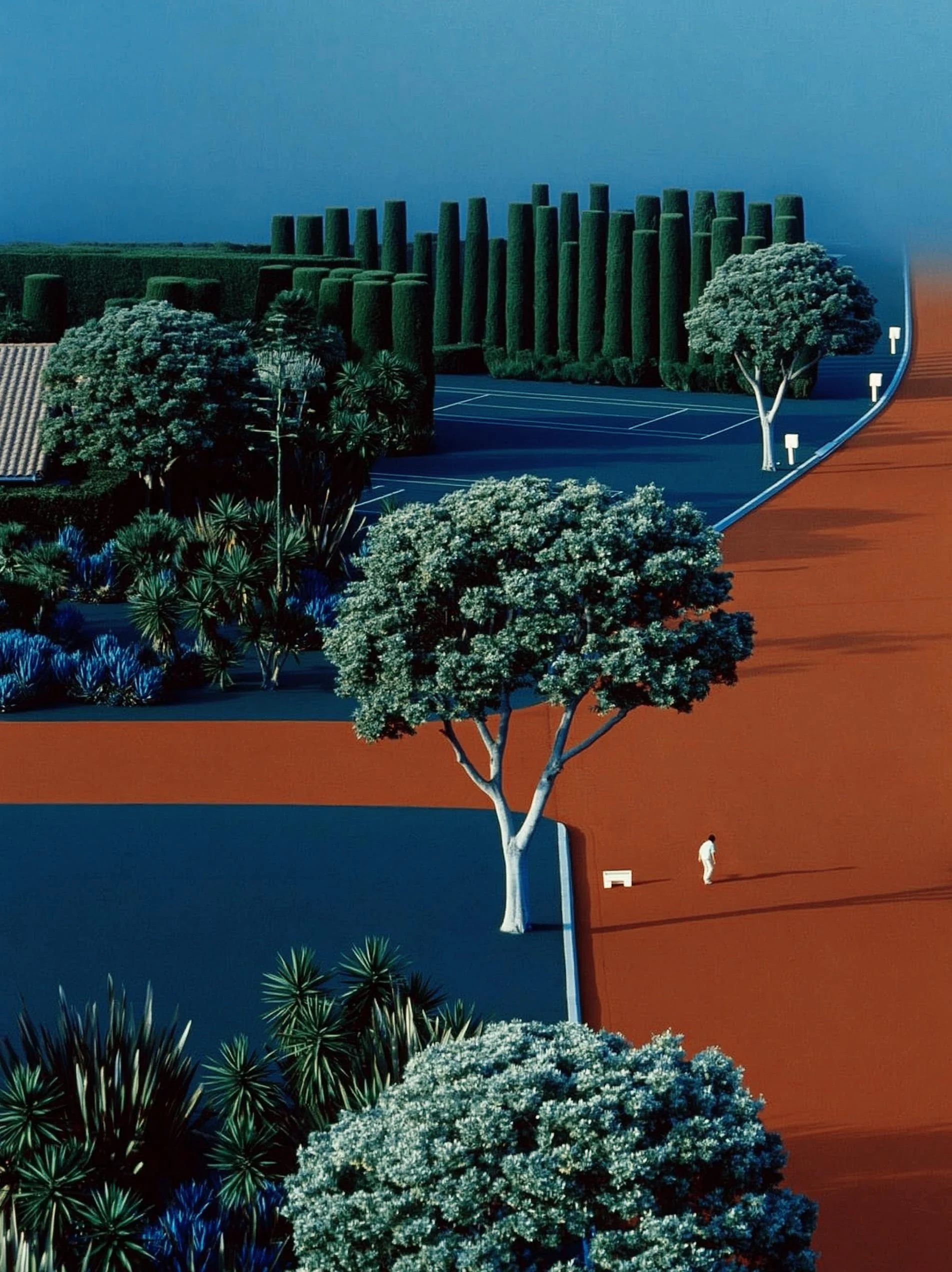 Summer Daze picture 3 of 4