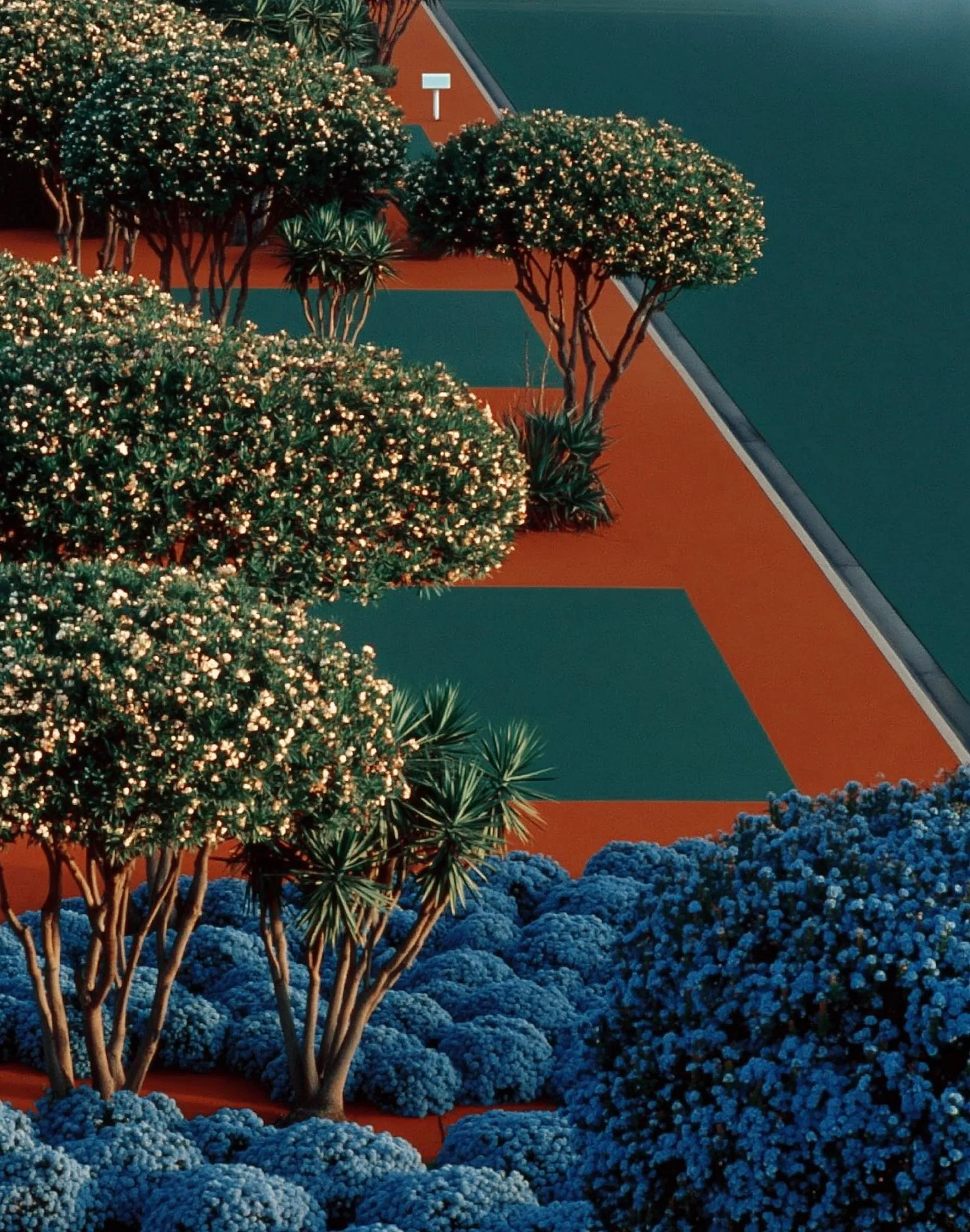 Summer Daze picture 4 of 4